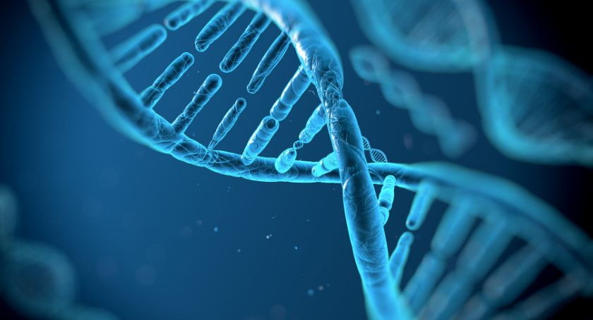 Serum Folate May Slow Down Epigenetic Aging Markers: Study